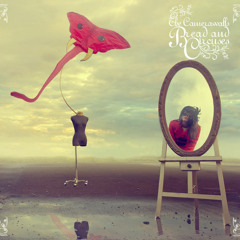 A Gentle Persuasion - The Camerawalls