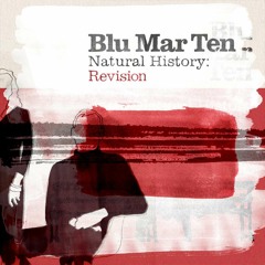 Blu Mar Ten - 'Believe Me' (Thinnen remix)