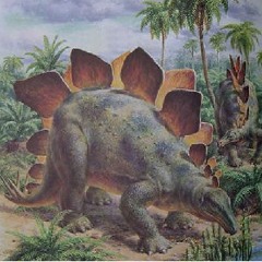 Stegosaurus
