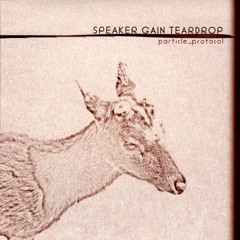Speaker Gain Teardrop - Colophon #02 (Kashiwa Daisuke Remix)