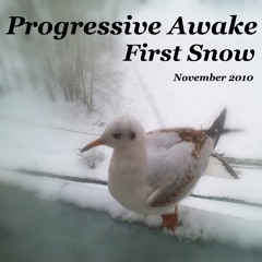 Progressive Awake - First Snow  (November 2010)