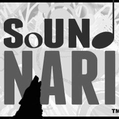 Sound Nari Techno Fusion groove