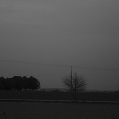 Temporal
