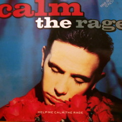 Terry Ronald - Calm The Rage (MCA Records 1990)