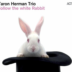 Yaron herman Trio -  Heart Shaped Box