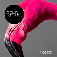 Club Flamingo - Nobody (HardtoPronounce So Deep in You remix)