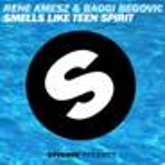 Rene Amesz & Baggi Begovic - Smells Like Teen Spirit