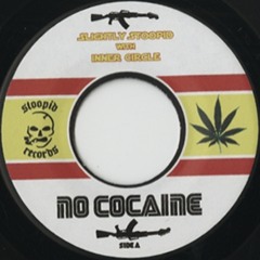 Alborosie - No Cocaine (2TiMES Remix)