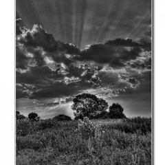 Mirage 62 feat. Suree - Shadow Play (Phuzion)