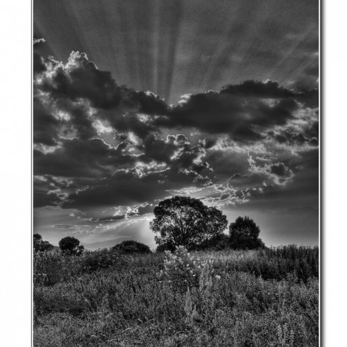 Mirage 62 feat. Suree - Shadow Play (Phuzion)