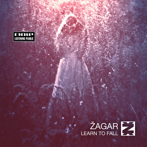 ZAGAR - Learn to Fall (Zagar's Dub Rework)