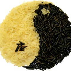 Das Märchen vom Reis (chinesisch, Hani)