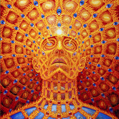 202504