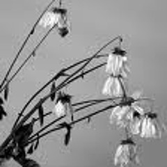 Joint Custody-Deep Emotions