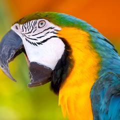 En Tu Mirada - PabloTez