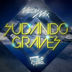 Neon Mix 13: Sudando Graves