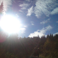 Rush Hour (Rush - Spirit Of Radio Drum & Bass Remix)