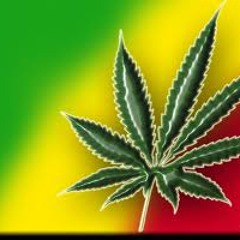 Sno Ft. T Baby - Smoke Weed