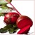 Artwork for My heart is as red as beet extended vers.