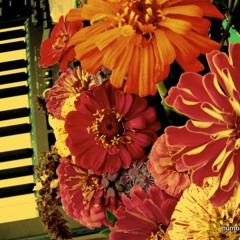 NEON BEAMS  Anahata Beams Riddim