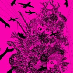 diSapia - catch a glimpse