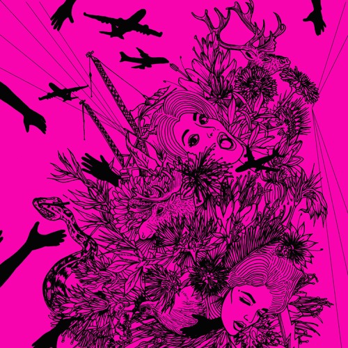 diSapia - catch a glimpse