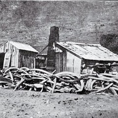 Teeth Engraved With the Names of the Dead - III