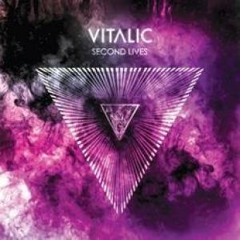 Vitalic - Flashmob (Popof remix)