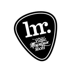 Downtown Party Network - Little Mountain Rocks