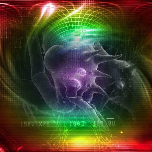 Algorythm(psychoactive version)