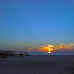 Clear Head: Clearwater Waves