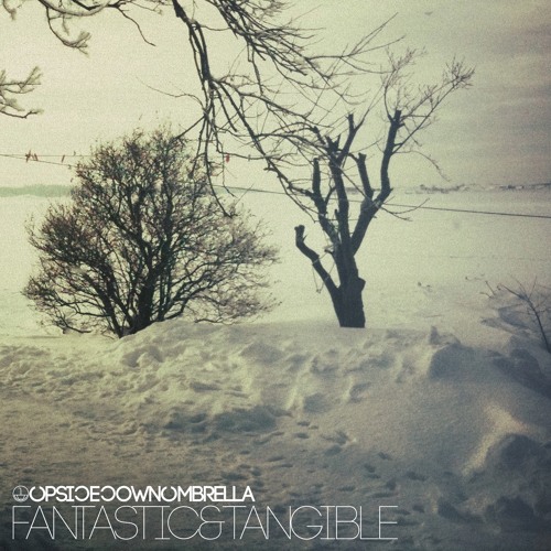 Upside Down Umbrella "Fantastic and Tangible"