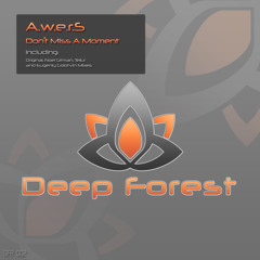 A.w.e.r.S - Don't Miss A Moment (Noel Gitman Remix) [Deep Forest]