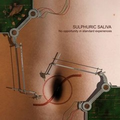 Sulphuric Saliva - Noise 2 Noise