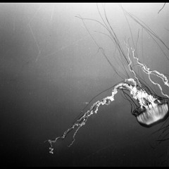 OG (Original Goblin) Mix