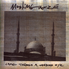 Muslimgauze: Camel Through A Needles Eye sample