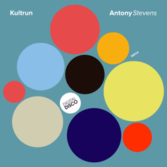 DIDI 008  Kultrun EP  What A Day   Antony Stevens