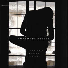 Vivaldi Concerto "La Notte" in G minor, RV 104 for Recorder - 05. allegro