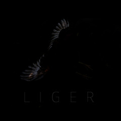 Liger - Bare Bones (Former Ghosts Cover)