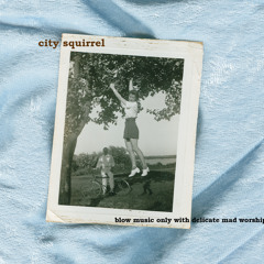 City Squirrel | Watertown