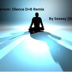 dnb remix:  delerium silence