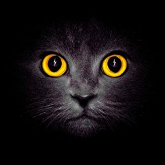 Escort - Cocaine Blues (Mikael Zrinski strobelight disco edit)