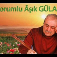 Asık Gülabi Gültekin- Ömür Denen Zalim Yolda