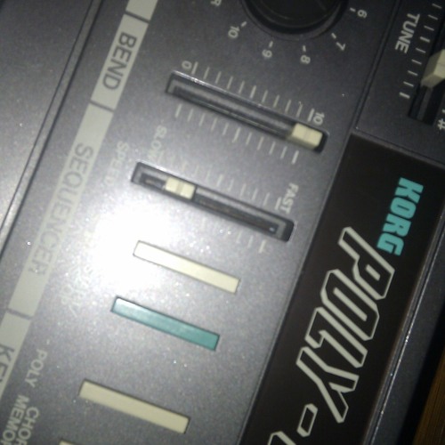 Poly1985
