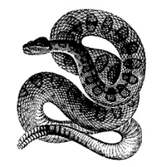 The Man and the Snake