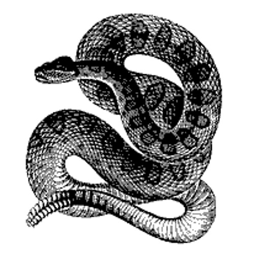 The Man and the Snake