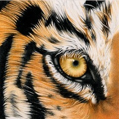 Go Mike Gip- Eye of the Tiger