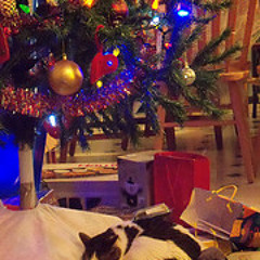 My Favourite Holiday Memory