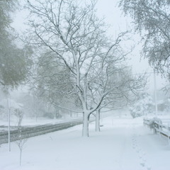 COLDER WINTER