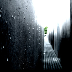 Dreams - Raindrops - The Rhythm